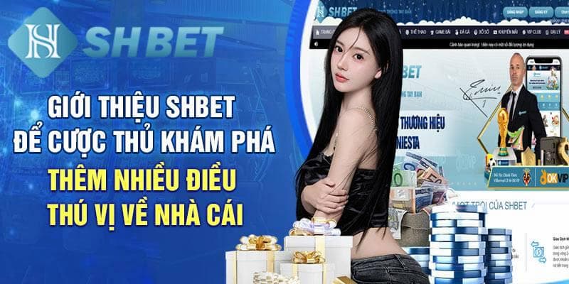 Những lý do mà anh em nên chơi cá cược tại nhà cái SHBET