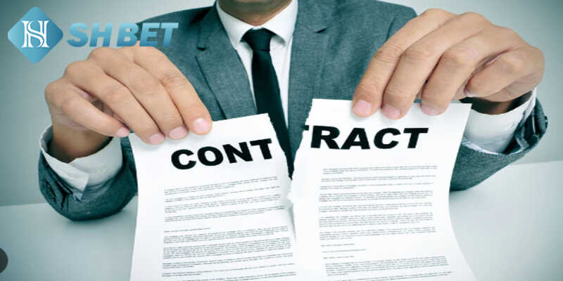 Miễn trừ trách nhiệm là gì? Vai trò quan trọng ra sao