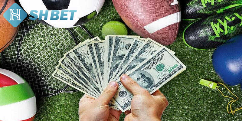 Cách tham gia cá cược tại nhà cái