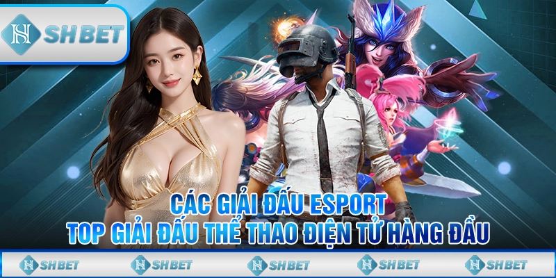 Các Giải Đấu Esport - Top Giải Đấu Thể Thao Điện Tử Hàng Đầu