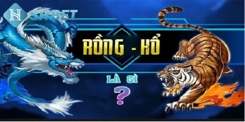 Giới thiệu vài nét sơ lược về game bài Rồng Hổ