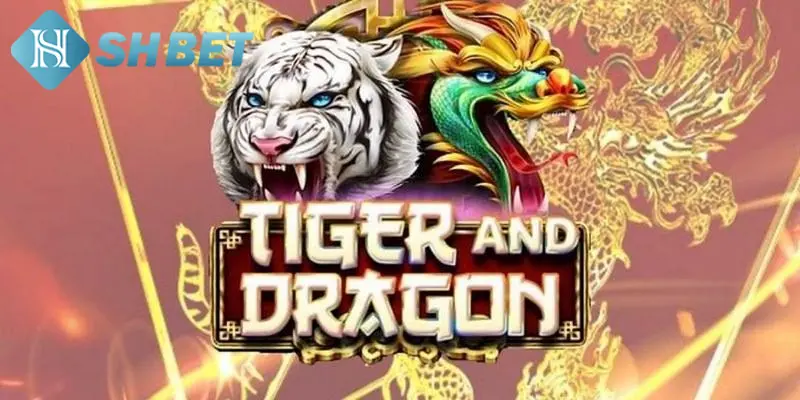 Hướng dẫn chi tiết cách chơi Rồng Hổ cho thành viên mới