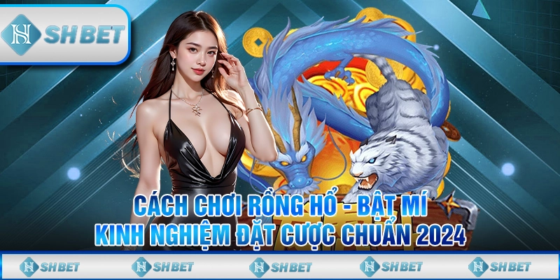 Cách Chơi Rồng Hổ - Bật Mí Kinh Nghiệm Đặt Cược Chuẩn 2024