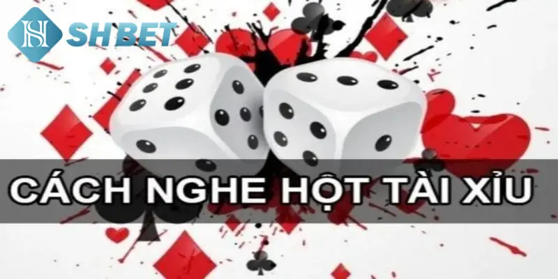 Giới thiệu đôi nét sơ lược về cách nghe hột tài xỉu