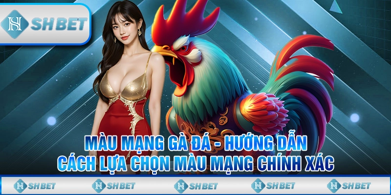 Màu Mạng Gà Đá - Hướng Dẫn Cách Lựa Chọn Màu Mạng Chính Xác