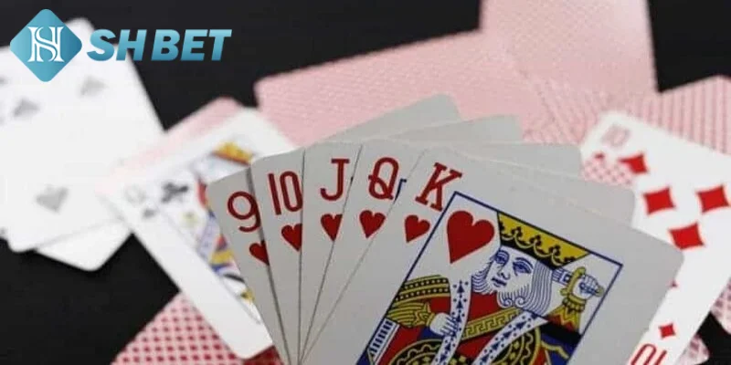 Tìm hiểu một vài thông tin khái quát về game bài tiến lên solo
