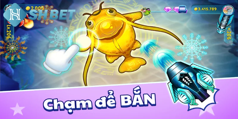 Chiến thuật săn cá Ica ẵm trọn tiền từ chuyên gia
