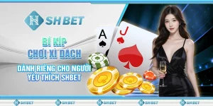 Bí Kíp Chơi Xì Dách Dành Riêng Cho Người Yêu Thích SHBET