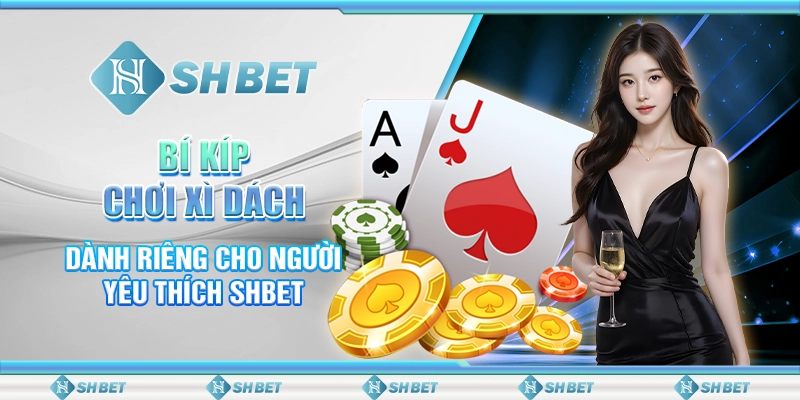 Bí Kíp Chơi Xì Dách Dành Riêng Cho Người Yêu Thích SHBET
