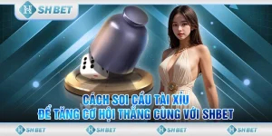 Cách Soi Cầu Tài Xỉu Để Tăng Cơ Hội Thắng Cùng Với SHBET