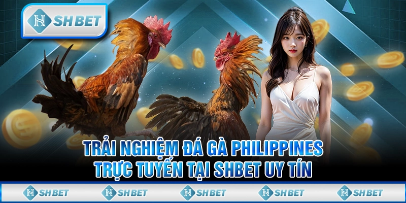 Trải Nghiệm Đá Gà Philippines Trực Tuyến Tại SHBET Uy Tín