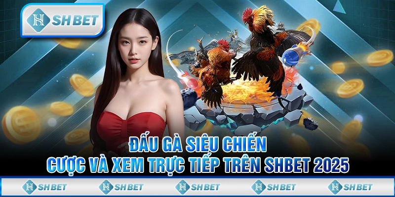 Đấu Gà Siêu Chiến – Cược Và Xem Trực Tiếp Trên SHBET 2025