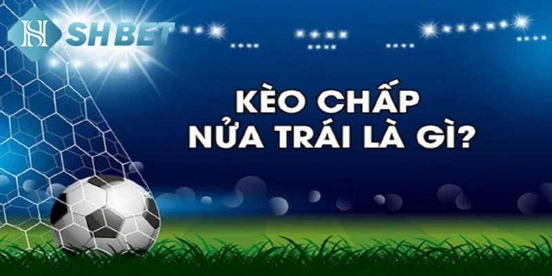 Tìm hiểu thông tin khái quát về định nghĩa kèo chấp nửa trái