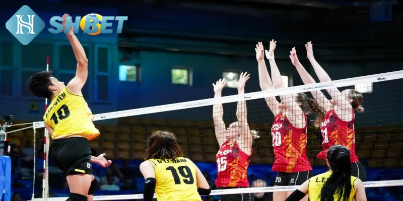 Một vài lưu ý quan trọng cần biết khi cá cược bóng chuyền
