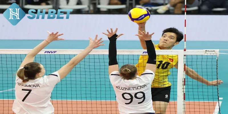 Vài nét thông tin khái quát về cá cược bóng chuyền