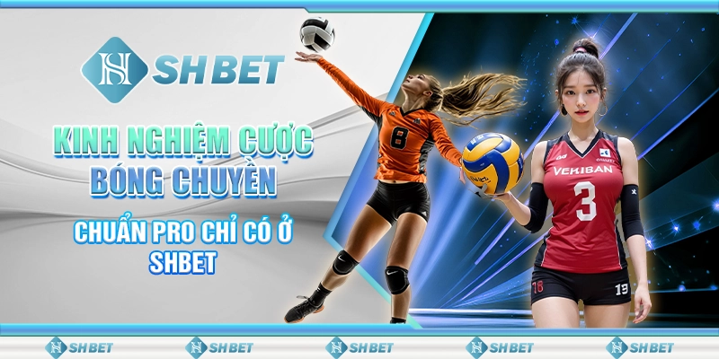 Kinh Nghiệm Cược Bóng Chuyền Chuẩn Pro Chỉ Có Ở SHBET