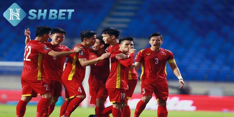 Tìm hiểu một vài nét khái quát về bóng đá Việt Nam