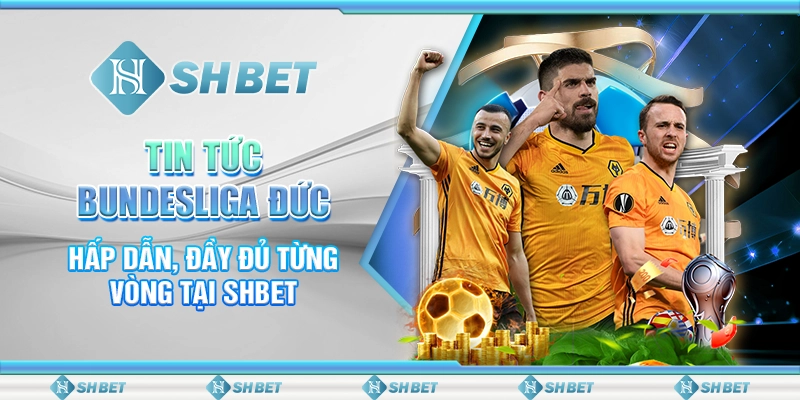 Tin Tức Bundesliga Đức Hấp Dẫn, Đầy Đủ Từng Vòng Tại SHBET