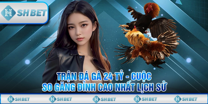 Trận Đá Gà 24 Tỷ - Cuộc So Găng Đỉnh Cao Nhất Lịch Sử