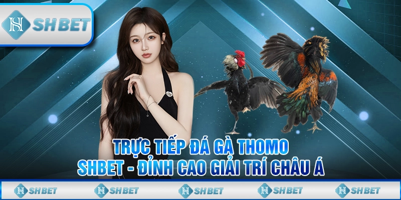 Trực Tiếp Đá Gà Thomo SHBET - Đỉnh Cao Giải Trí Châu Á