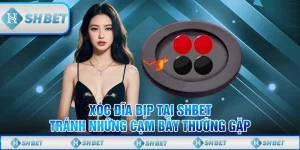 Xóc Đĩa Bịp Tại SHBET - Tránh Những Cạm Bẫy Thường Gặp