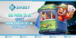 Bài Phỏm Tá Lả SHBET - Hướng Dẫn Chi Tiết Và Cách Thắng