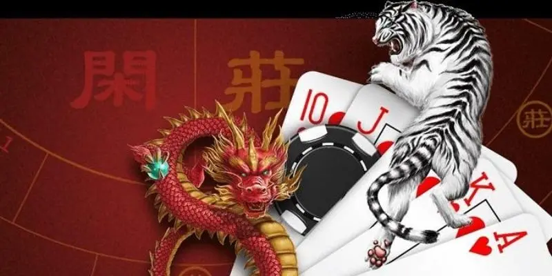Luôn nắm bắt kỹ thuật chơi rồng hổ hiệu quả