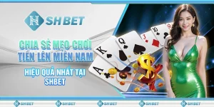 Chia Sẻ Mẹo Chơi Tiến Lên Miền Nam Hiệu Quả Nhất Tại SHBET
