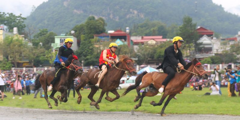Kinh nghiệm thực tế hữu ích từ cao thủ
