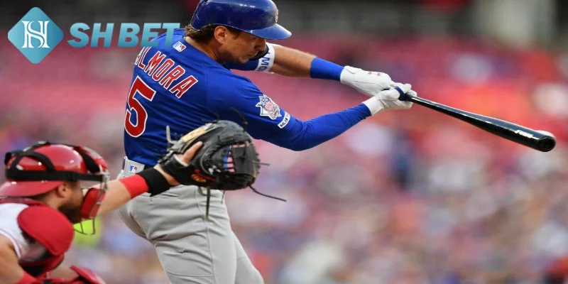 Cập nhật tin tức bóng chày MLB mới trên thị trường hiện nay