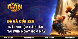 Đá gà cựa kim, trải nghiệm hấp dẫn tại IWIN ngay hôm nay