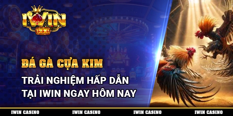 Đá gà cựa kim, trải nghiệm hấp dẫn tại IWIN ngay hôm nay